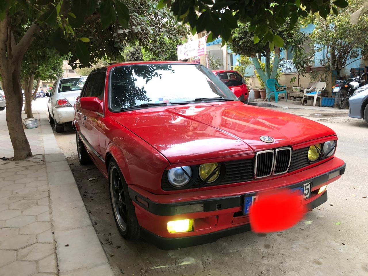 النزهة الجديدة