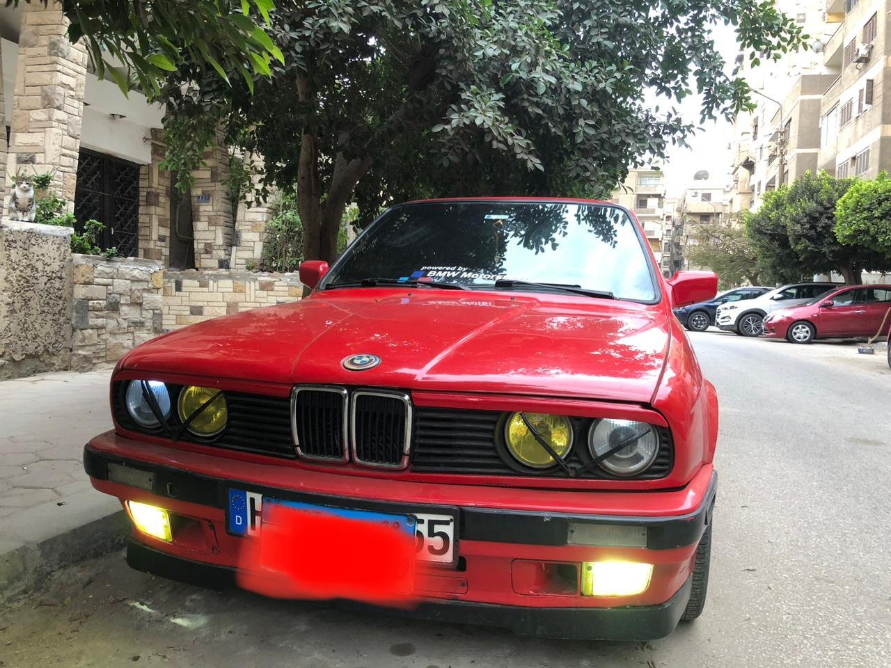 النزهة الجديدة